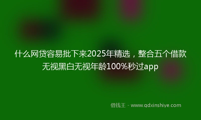 什么网贷容易批下来2025年精选，整合五个借款无视黑白无视年龄100%秒过app