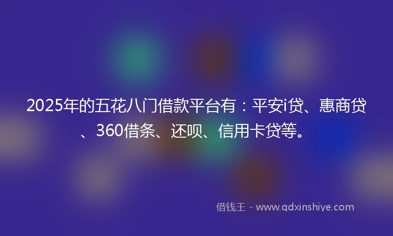 2025年的五花八门借款平台有：平安i贷、惠商贷、360借条、还呗、信用卡贷等。