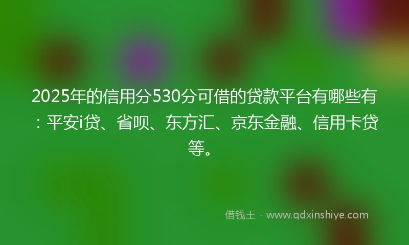 2025年的信用分530分可借的贷款平台有哪些有：平安i贷、省呗、东方汇、京东金融、信用卡贷等。