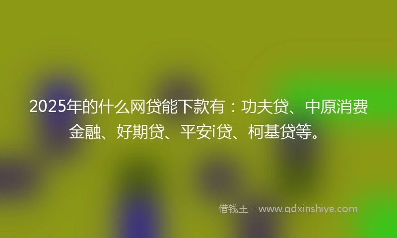 2025年的什么网贷能下款有：功夫贷、中原消费金融、好期贷、平安i贷、柯基贷等。