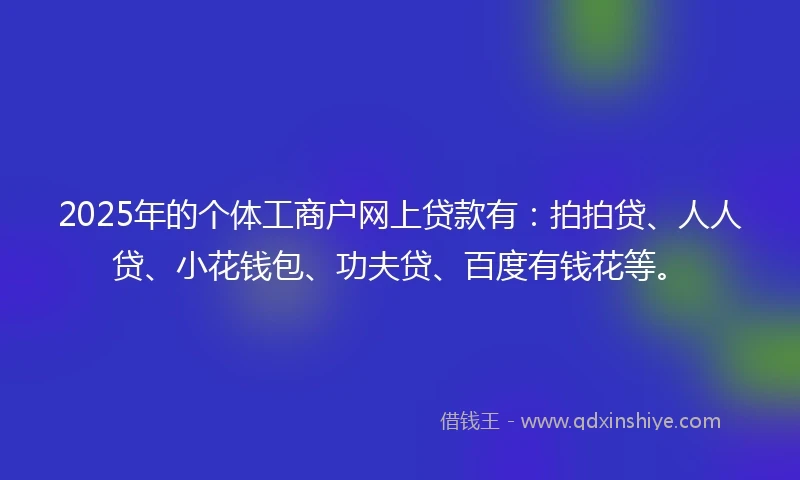 2025年的个体工商户网上贷款有：拍拍贷、人人贷、小花钱包、功夫贷、百度有钱花等。