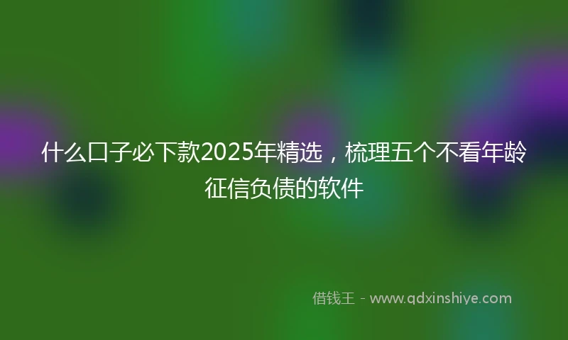 什么口子必下款2025年精选，梳理五个不看年龄征信负债的软件