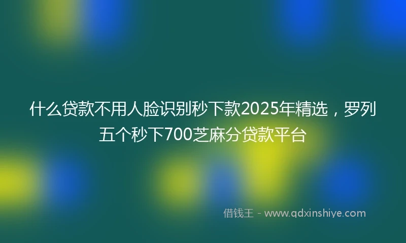 什么贷款不用人脸识别秒下款2025年精选，罗列五个秒下700芝麻分贷款平台