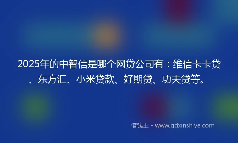 2025年的中智信是哪个网贷公司有：维信卡卡贷、东方汇、小米贷款、好期贷、功夫贷等。