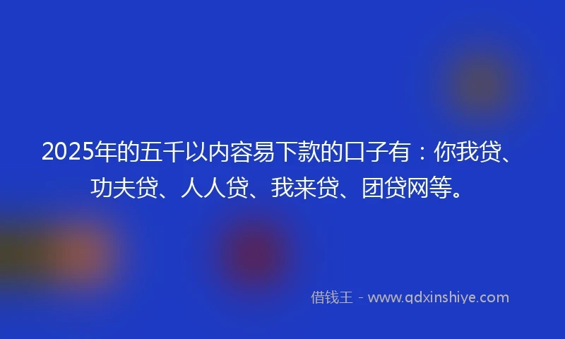 2025年的五千以内容易下款的口子有：你我贷、功夫贷、人人贷、我来贷、团贷网等。