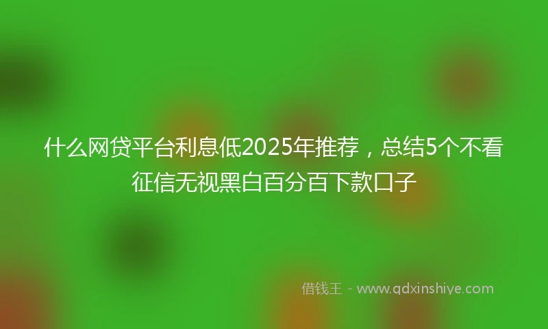 什么网贷平台利息低2025年推荐，总结5个不看征信无视黑白百分百下款口子