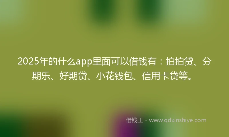 2025年的什么app里面可以借钱有：拍拍贷、分期乐、好期贷、小花钱包、信用卡贷等。