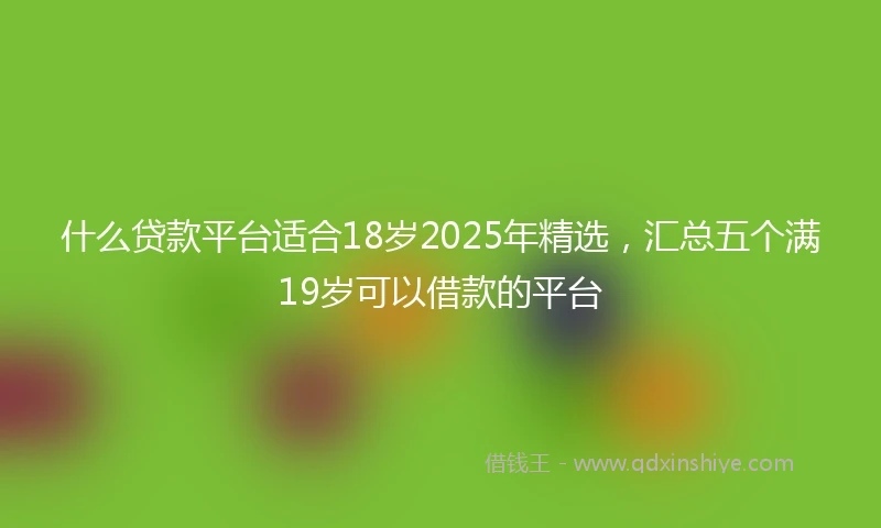 什么贷款平台适合18岁2025年精选，汇总五个满19岁可以借款的平台
