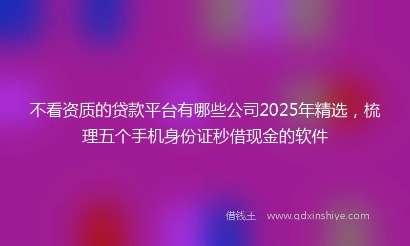 不看资质的贷款平台有哪些公司2025年精选，梳理五个手机身份证秒借现金的软件