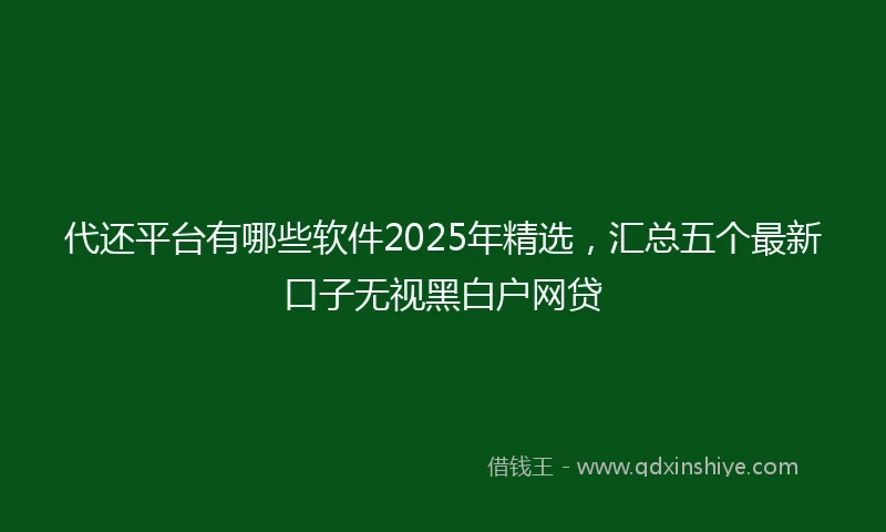 代还平台有哪些软件2025年精选，汇总五个最新口子无视黑白户网贷