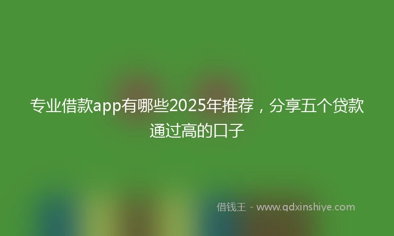 专业借款app有哪些2025年推荐，分享五个贷款通过高的口子