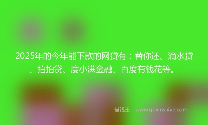 2025年的今年能下款的网贷有：替你还、滴水贷、拍拍贷、度小满金融、百度有钱花等。