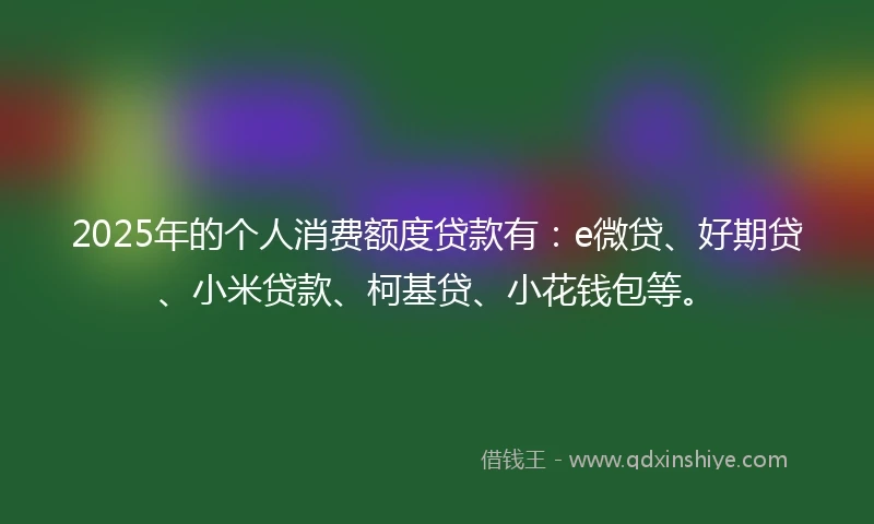 2025年的个人消费额度贷款有：e微贷、好期贷、小米贷款、柯基贷、小花钱包等。