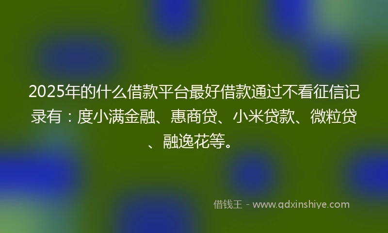 2025年的什么借款平台最好借款通过不看征信记录有：度小满金融、惠商贷、小米贷款、微粒贷、融逸花等。