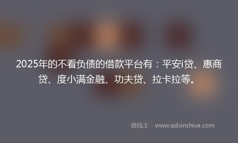 2025年的不看负债的借款平台有：平安i贷、惠商贷、度小满金融、功夫贷、拉卡拉等。
