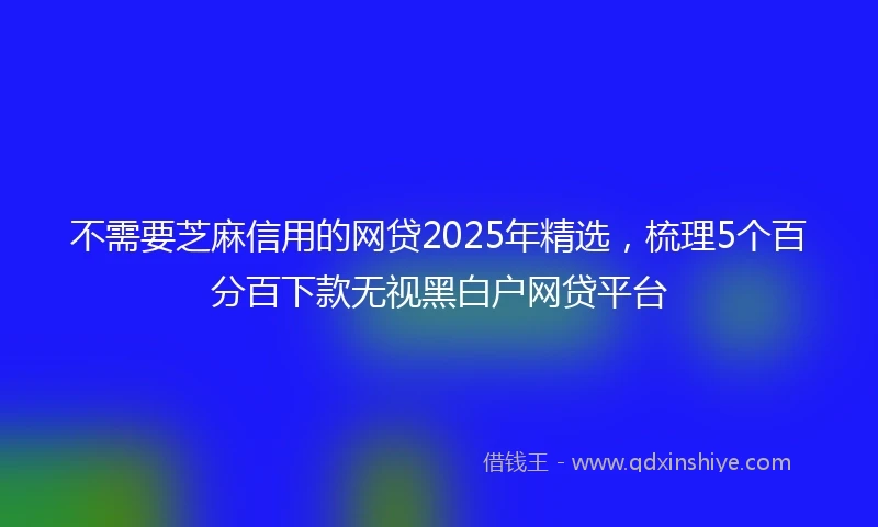 不需要芝麻信用的网贷2025年精选，梳理5个百分百下款无视黑白户网贷平台