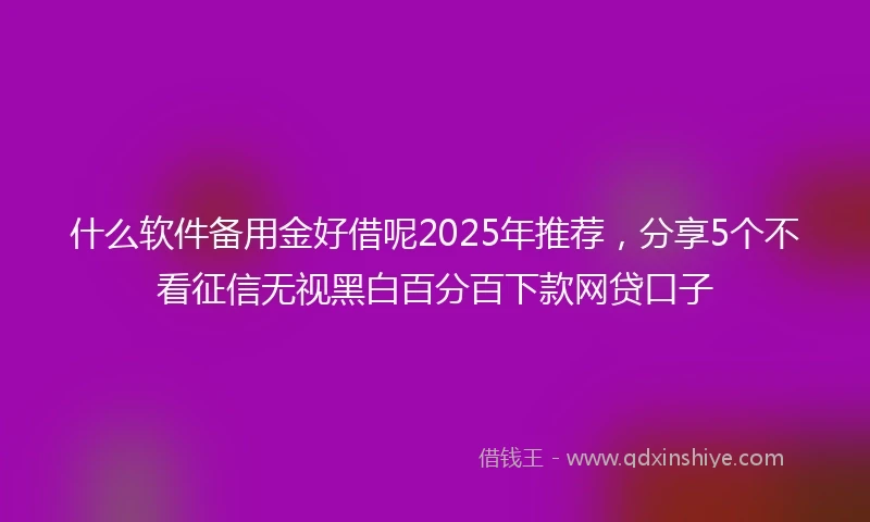 什么软件备用金好借呢2025年推荐，分享5个不看征信无视黑白百分百下款网贷口子