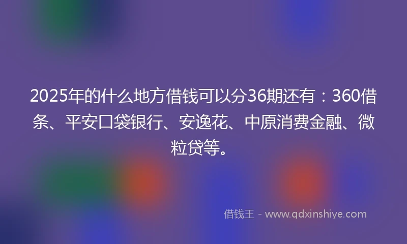 2025年的什么地方借钱可以分36期还有：360借条、平安口袋银行、安逸花、中原消费金融、微粒贷等。