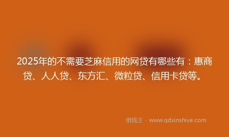 2025年的不需要芝麻信用的网贷有哪些有：惠商贷、人人贷、东方汇、微粒贷、信用卡贷等。
