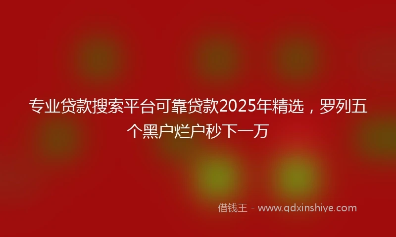 专业贷款搜索平台可靠贷款2025年精选，罗列五个黑户烂户秒下一万