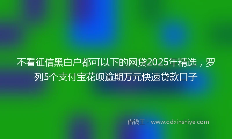 不看征信黑白户都可以下的网贷2025年精选，罗列5个支付宝花呗逾期万元快速贷款口子