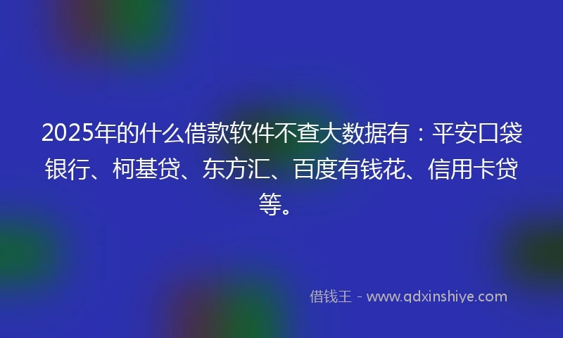 2025年的什么借款软件不查大数据有：平安口袋银行、柯基贷、东方汇、百度有钱花、信用卡贷等。
