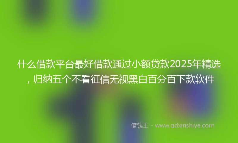 什么借款平台最好借款通过小额贷款2025年精选，归纳五个不看征信无视黑白百分百下款软件