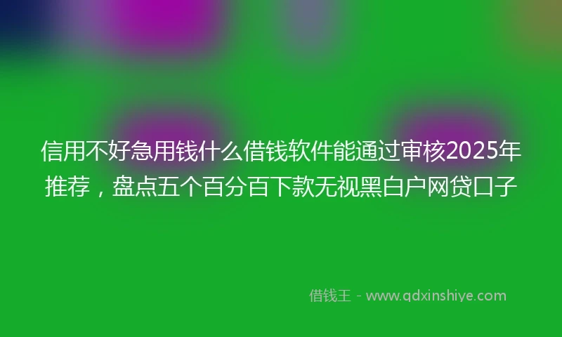 信用不好急用钱什么借钱软件能通过审核2025年推荐，盘点五个百分百下款无视黑白户网贷口子