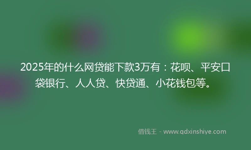 2025年的什么网贷能下款3万有：花呗、平安口袋银行、人人贷、快贷通、小花钱包等。