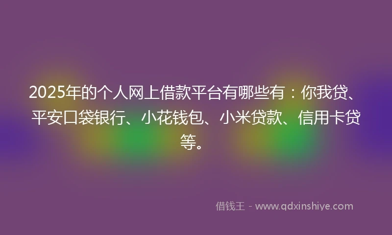 2025年的个人网上借款平台有哪些有：你我贷、平安口袋银行、小花钱包、小米贷款、信用卡贷等。