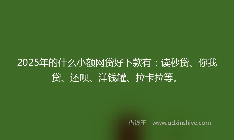 2025年的什么小额网贷好下款有：读秒贷、你我贷、还呗、洋钱罐、拉卡拉等。