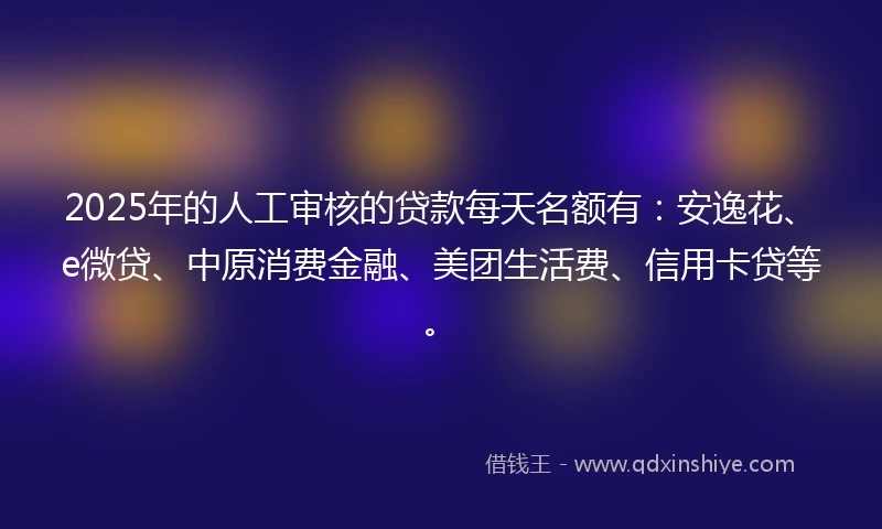 2025年的人工审核的贷款每天名额有：安逸花、e微贷、中原消费金融、美团生活费、信用卡贷等。