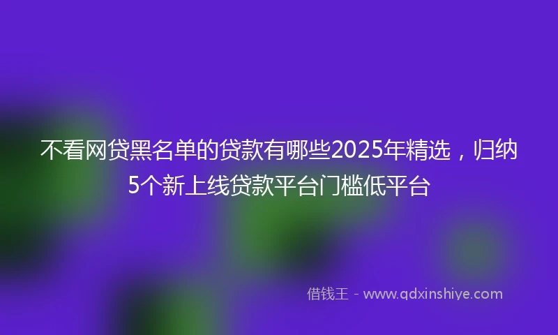 不看网贷黑名单的贷款有哪些2025年精选，归纳5个新上线贷款平台门槛低平台