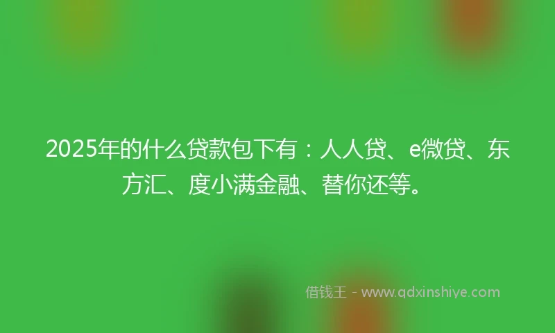 2025年的什么贷款包下有：人人贷、e微贷、东方汇、度小满金融、替你还等。