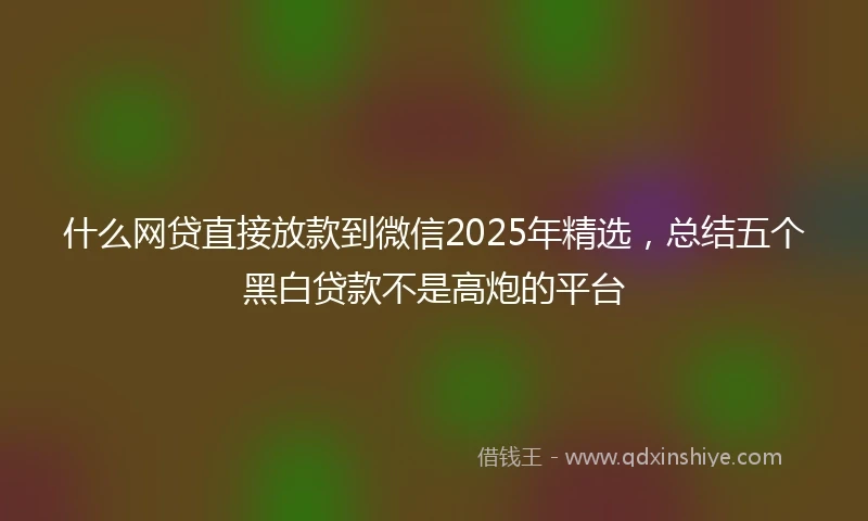什么网贷直接放款到微信2025年精选，总结五个黑白贷款不是高炮的平台