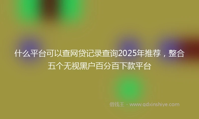 什么平台可以查网贷记录查询2025年推荐，整合五个无视黑户百分百下款平台