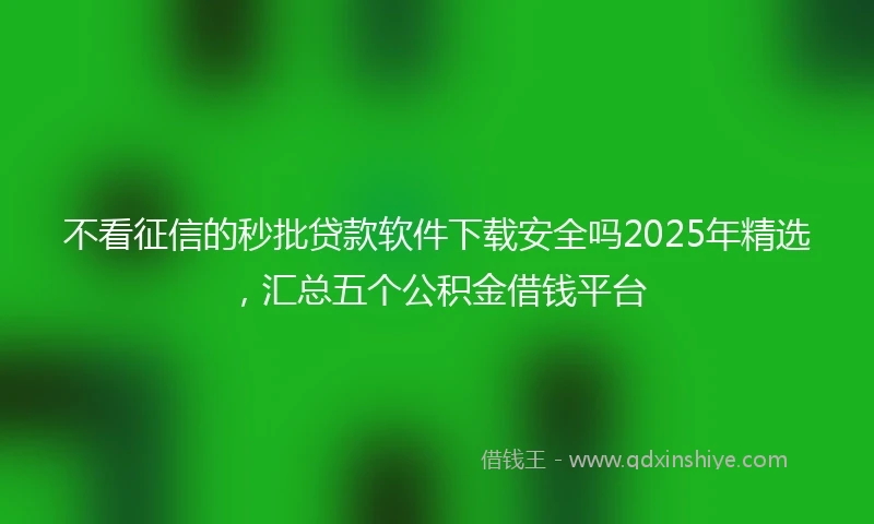 不看征信的秒批贷款软件下载安全吗2025年精选，汇总五个公积金借钱平台