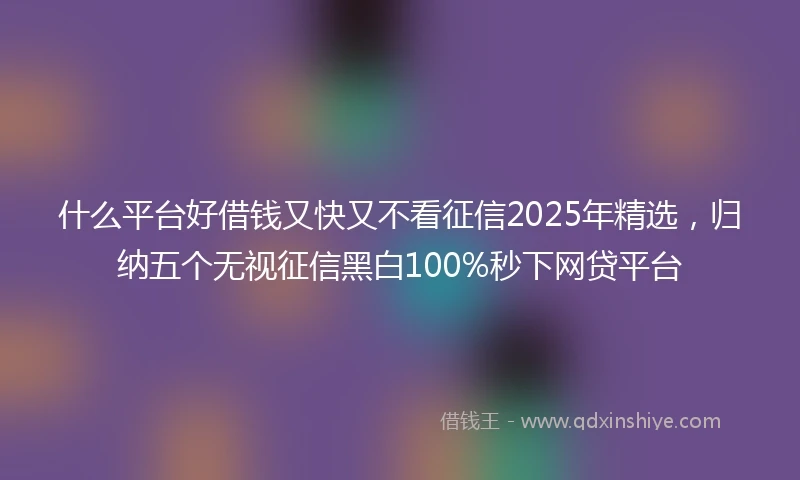 什么平台好借钱又快又不看征信2025年精选，归纳五个无视征信黑白100%秒下网贷平台