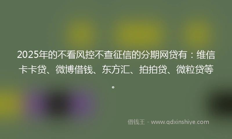 2025年的不看风控不查征信的分期网贷有：维信卡卡贷、微博借钱、东方汇、拍拍贷、微粒贷等。
