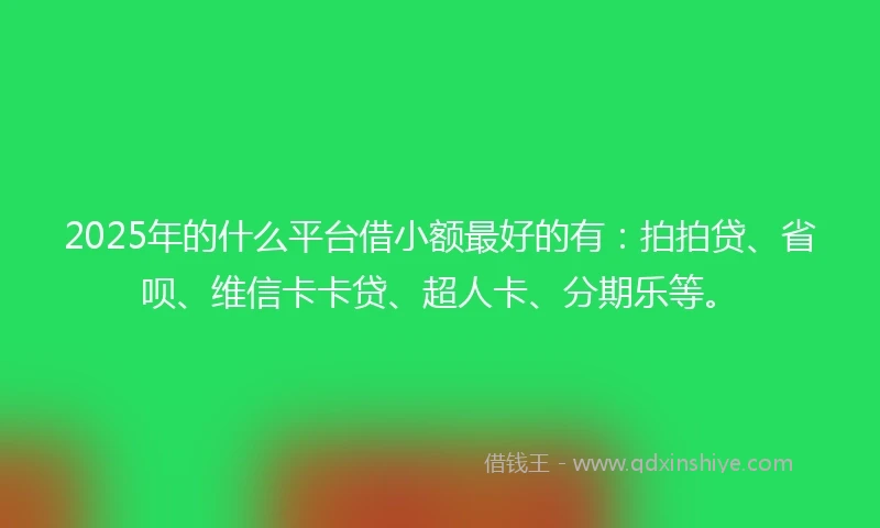 2025年的什么平台借小额最好的有：拍拍贷、省呗、维信卡卡贷、超人卡、分期乐等。