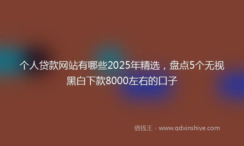 个人贷款网站有哪些2025年精选，盘点5个无视黑白下款8000左右的口子