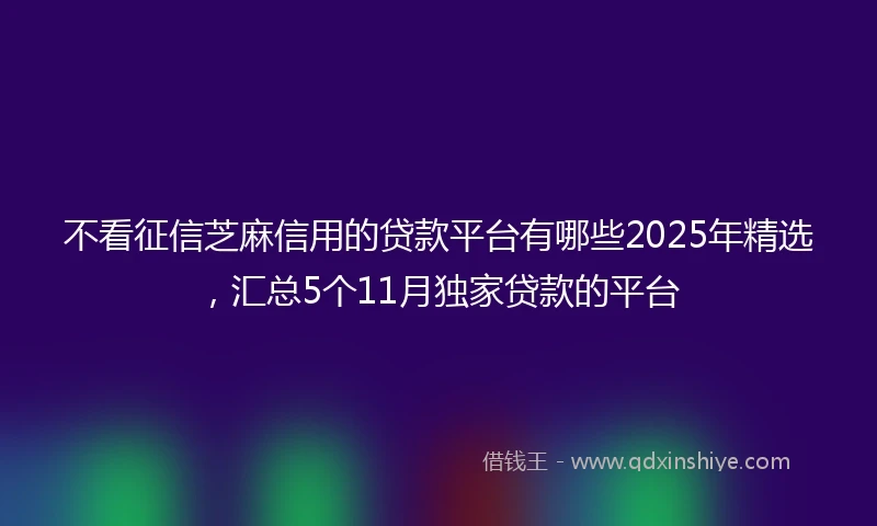 不看征信芝麻信用的贷款平台有哪些2025年精选,汇总5个11月独家贷款的平台