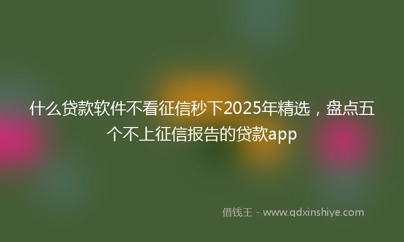 什么贷款软件不看征信秒下2025年精选，盘点五个不上征信报告的贷款app