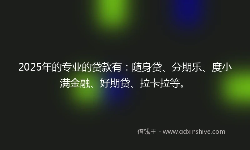 2025年的专业的贷款有：随身贷、分期乐、度小满金融、好期贷、拉卡拉等。