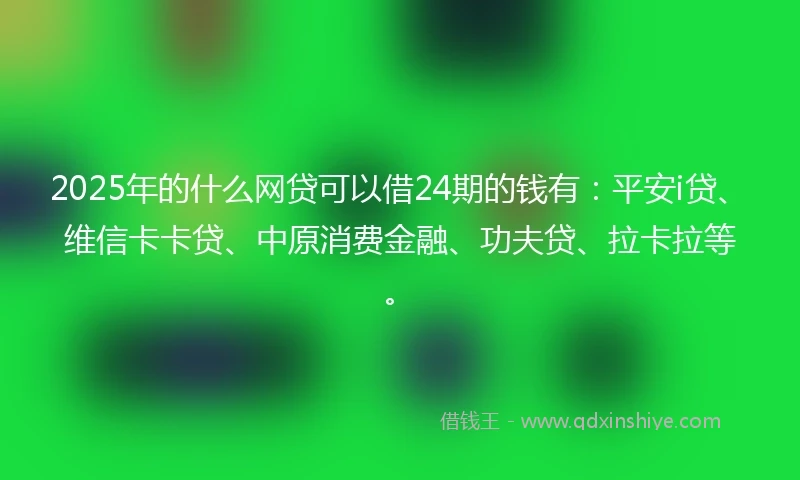 2025年的什么网贷可以借24期的钱有：平安i贷、维信卡卡贷、中原消费金融、功夫贷、拉卡拉等。
