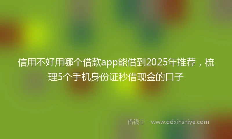 信用不好用哪个借款app能借到2025年推荐，梳理5个手机身份证秒借现金的口子