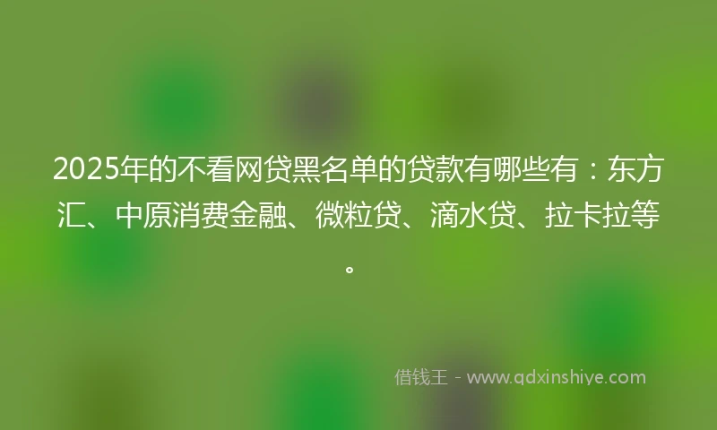2025年的不看网贷黑名单的贷款有哪些有：东方汇、中原消费金融、微粒贷、滴水贷、拉卡拉等。