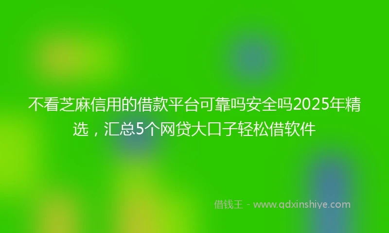 不看芝麻信用的借款平台可靠吗安全吗2025年精选，汇总5个网贷大口子轻松借软件