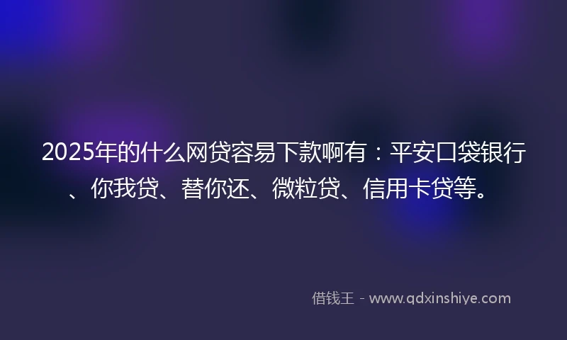 2025年的什么网贷容易下款啊有：平安口袋银行、你我贷、替你还、微粒贷、信用卡贷等。