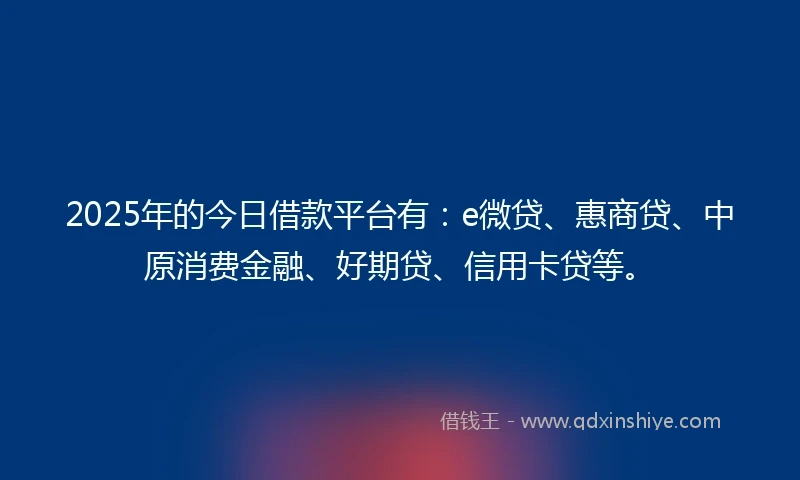 2025年的今日借款平台有：e微贷、惠商贷、中原消费金融、好期贷、信用卡贷等。